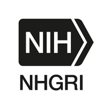 NIH Image