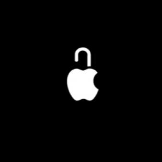 Apple Privacy Usability Study Image