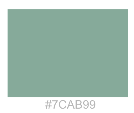 Color Scheme 1
