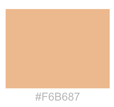 Color Scheme 2